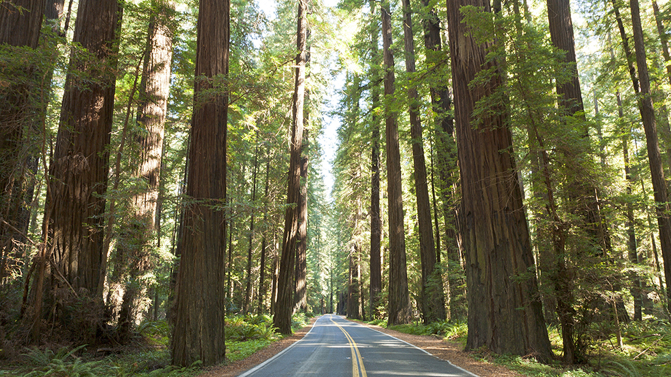 Conserving California's Parks